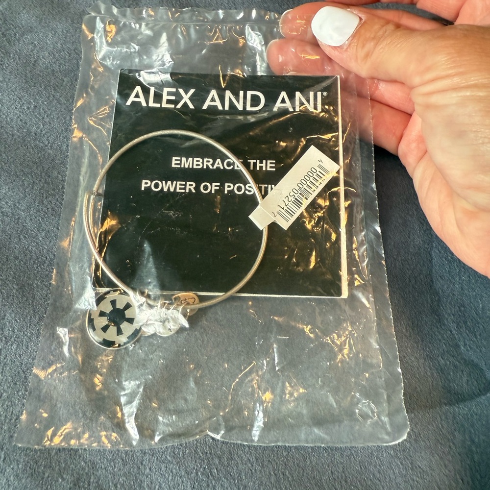 Alex and Ani Silver Charm Bracelet